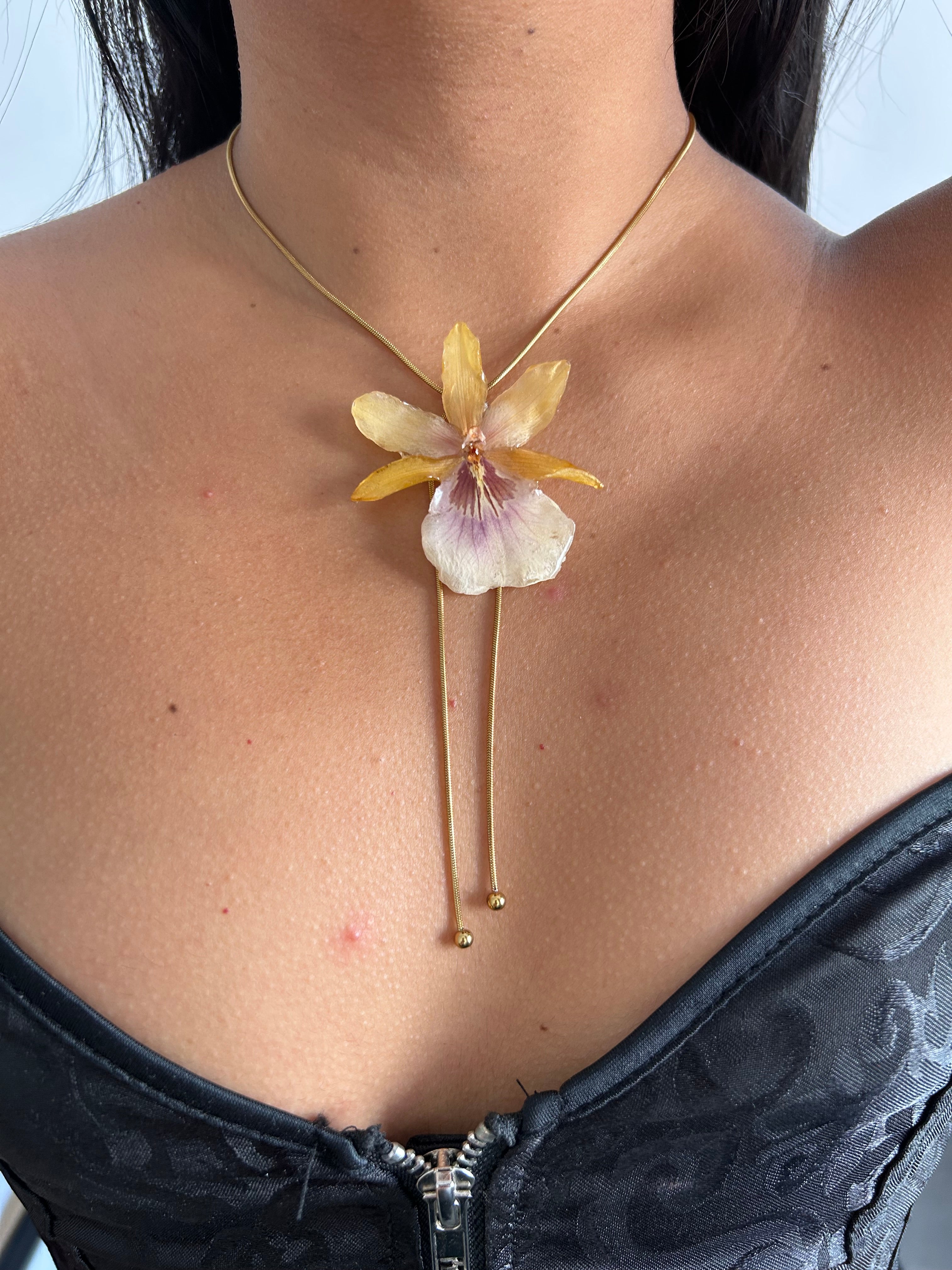 Exotic orchid yellow