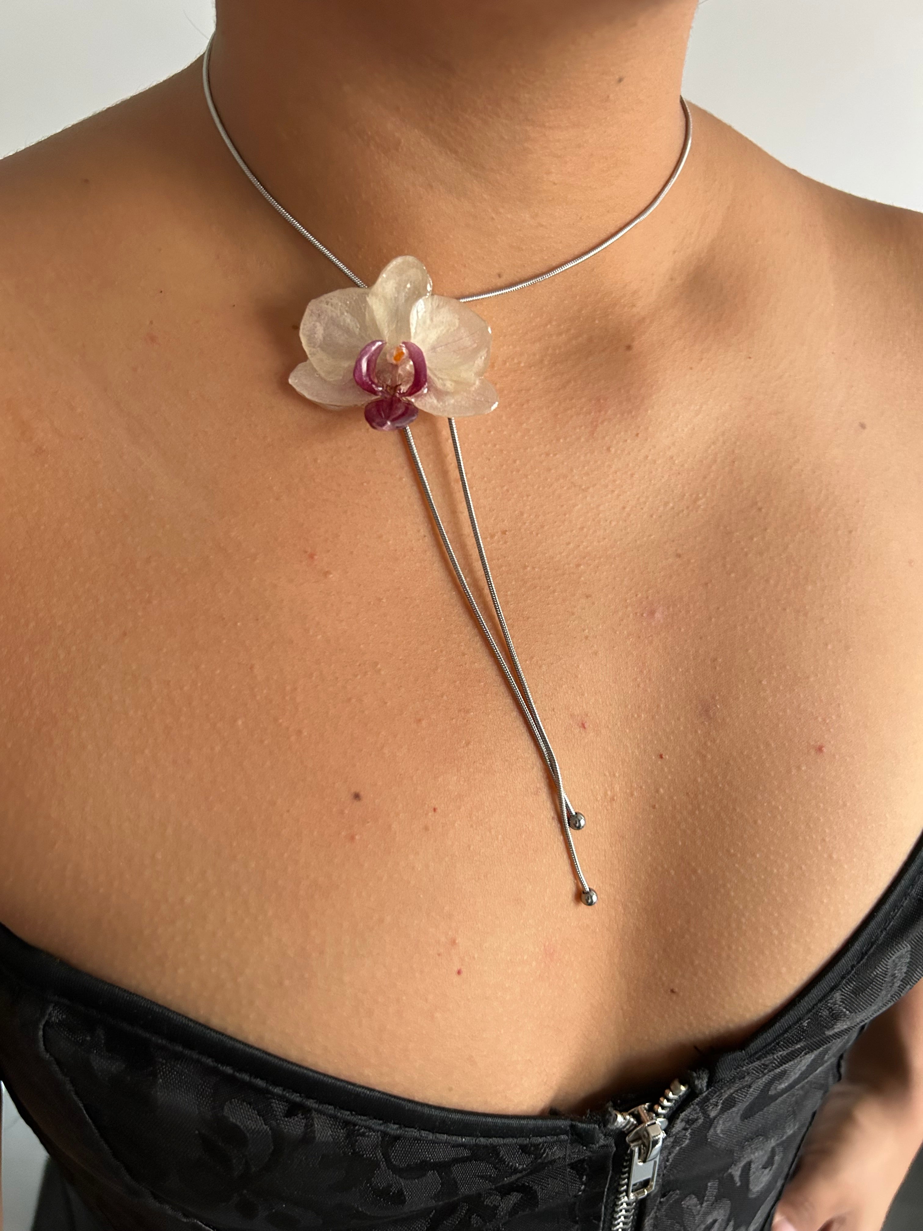 Orchid mini white