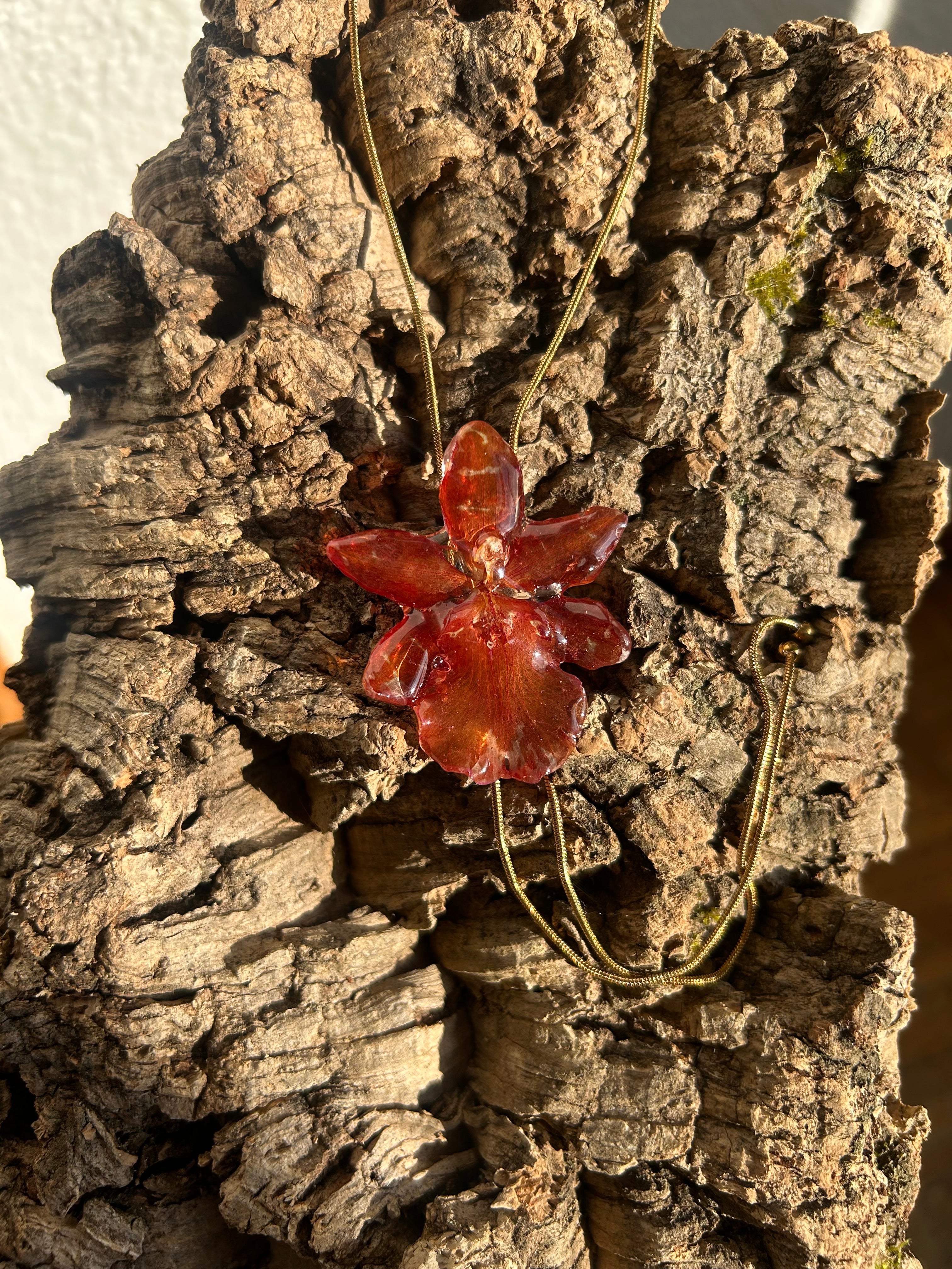 exotic orange orchid