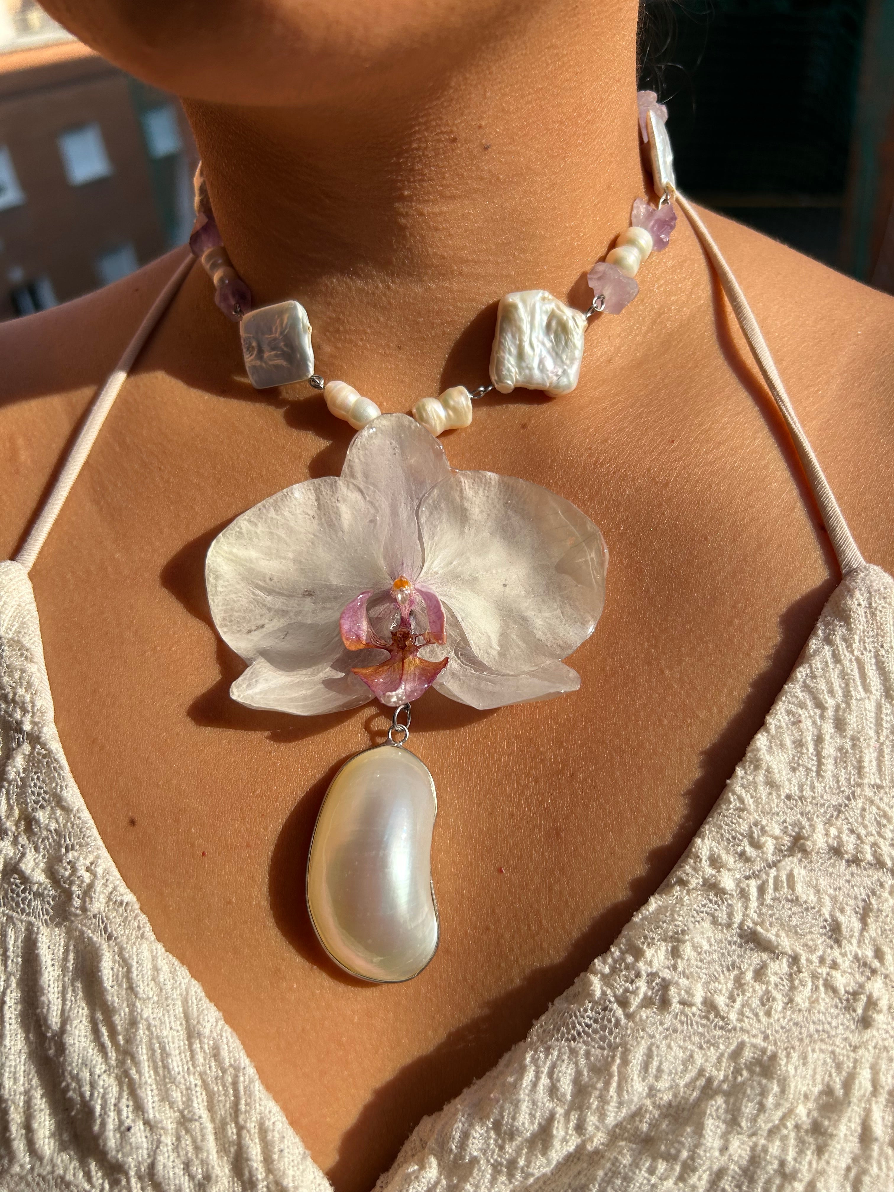 Orchid white and shell