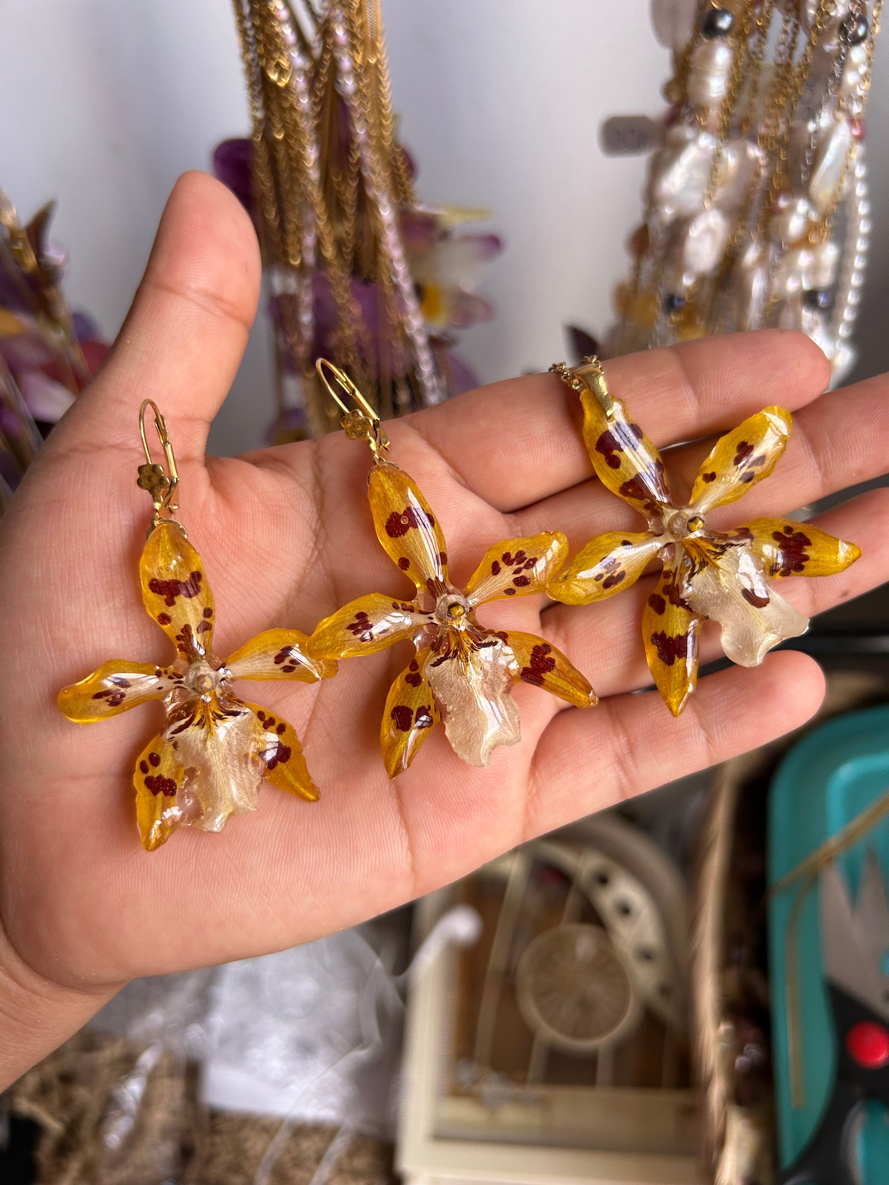 Conjunto de orquídeas exóticas