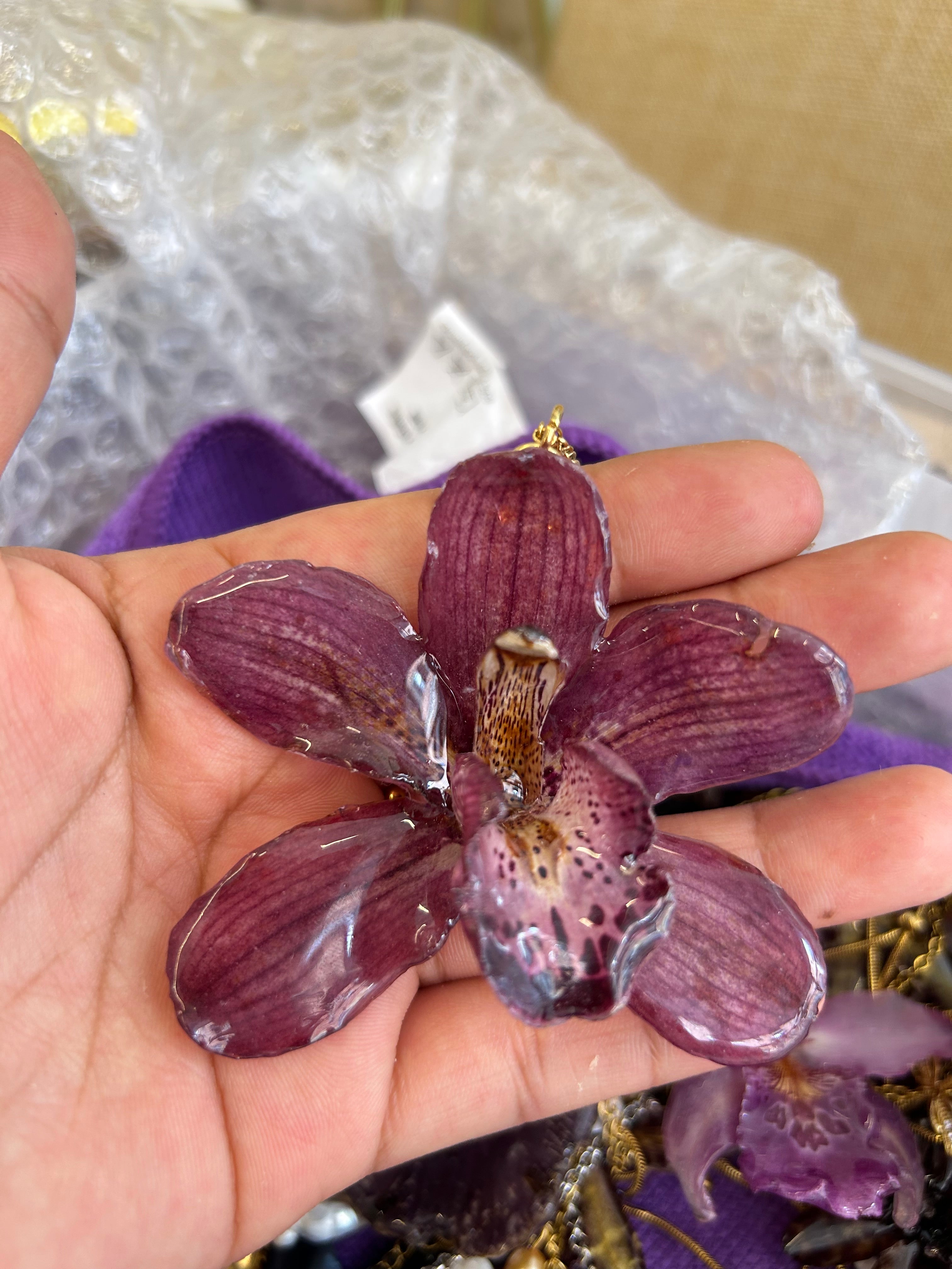 Orchid Cymbidium