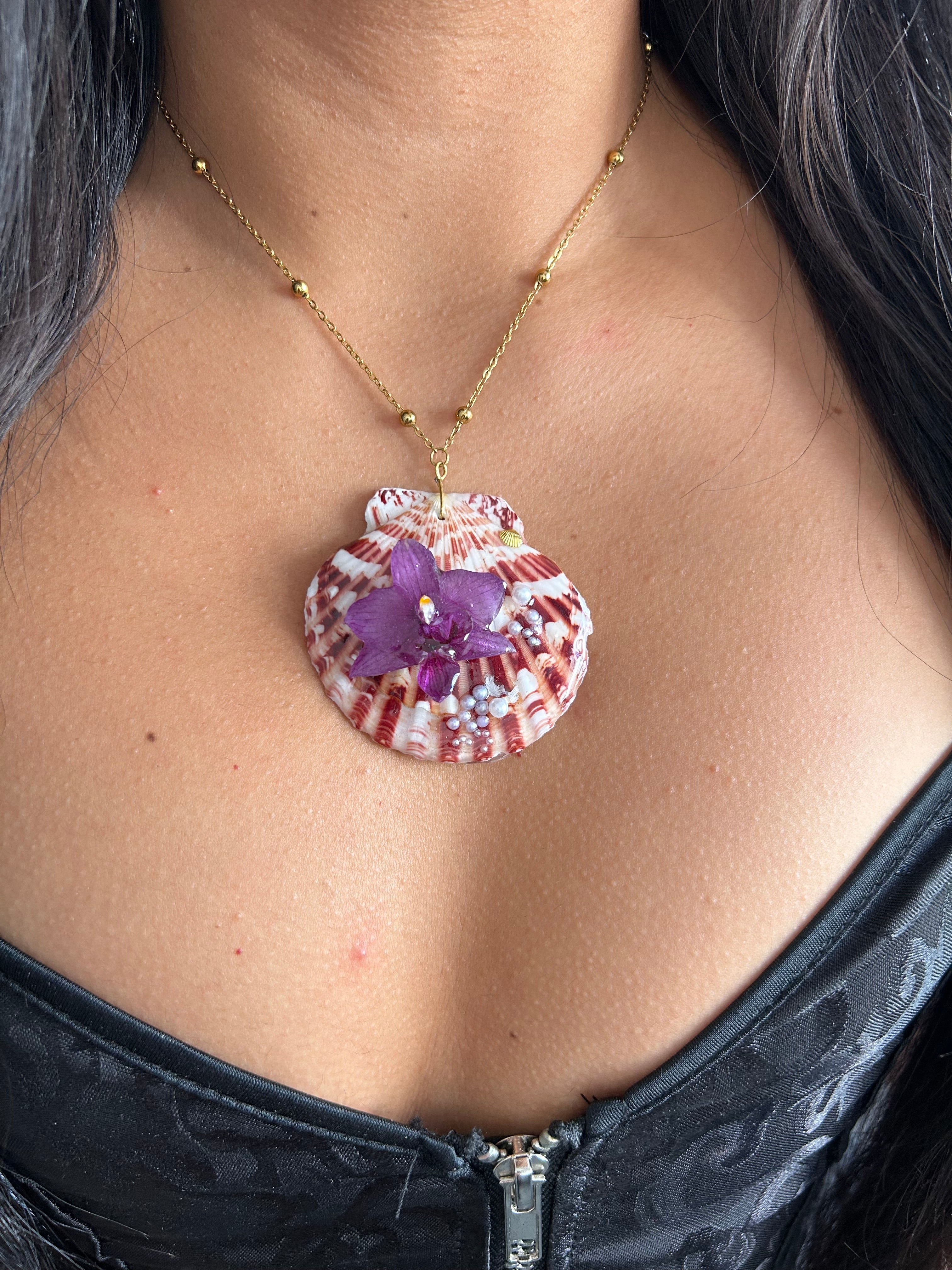 Orchid mini and shell