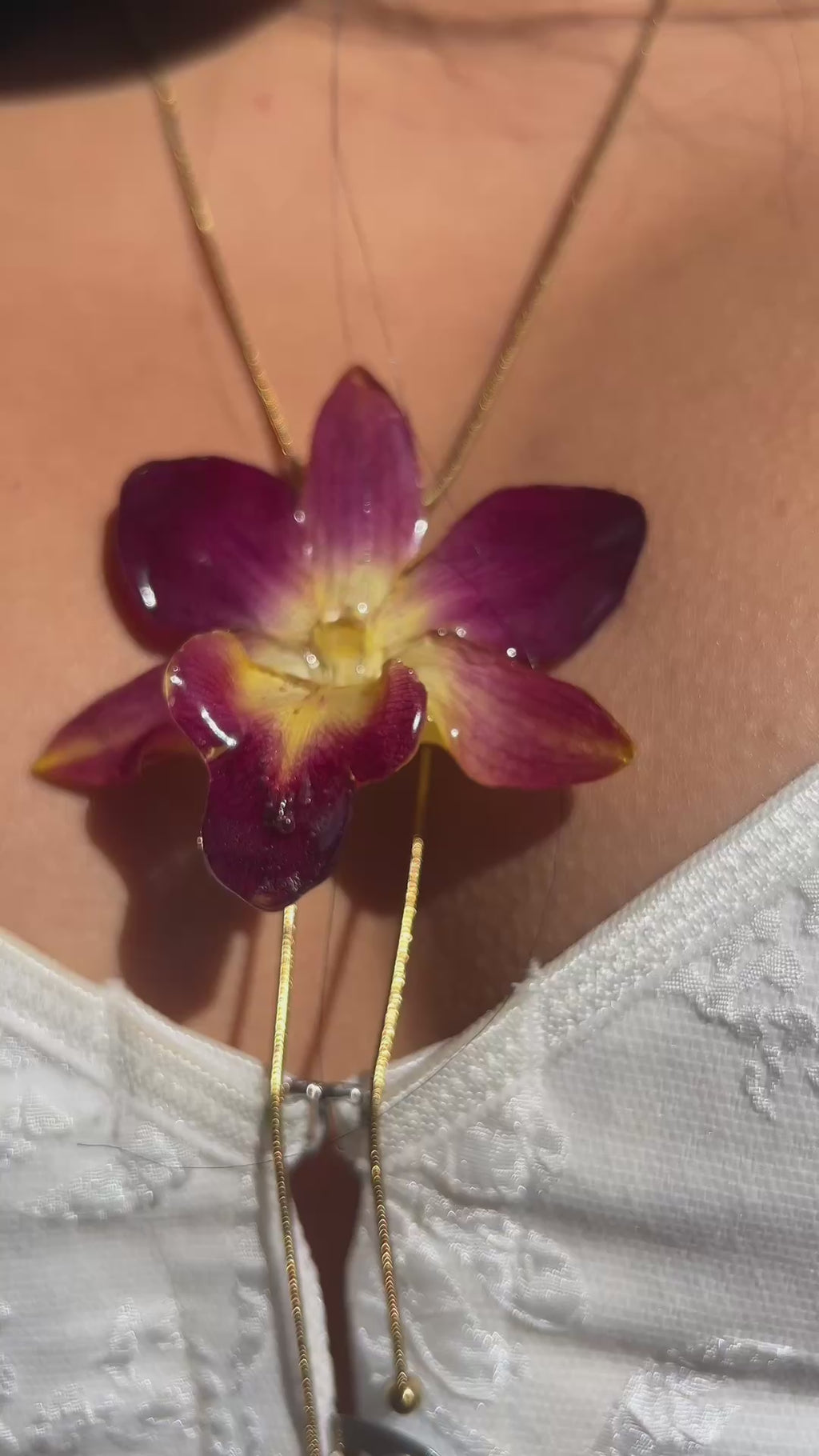 Orchid bello atardecer